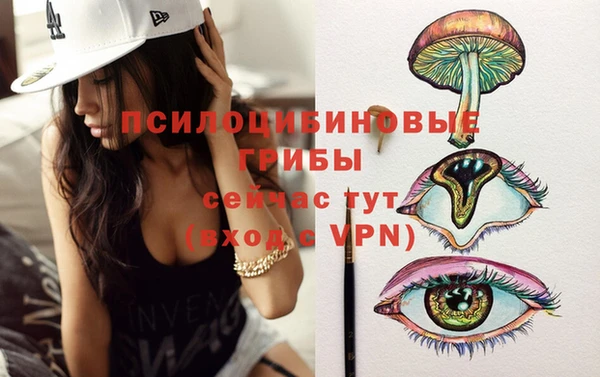 соль ск Вязники