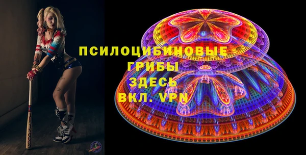 соль ск Вязники