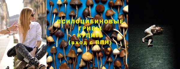 соль ск Вязники