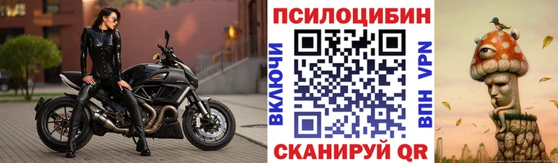 Галлюциногенные грибы Cubensis Купить закладки Новосиль